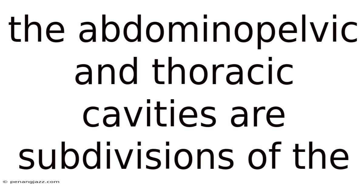 The Abdominopelvic And Thoracic Cavities Are Subdivisions Of The