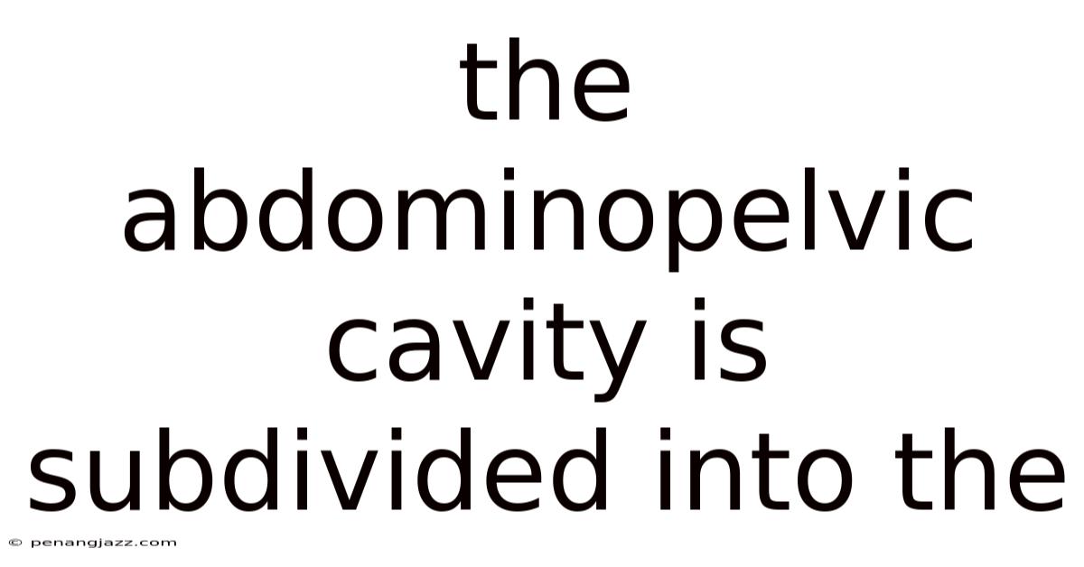 The Abdominopelvic Cavity Is Subdivided Into The