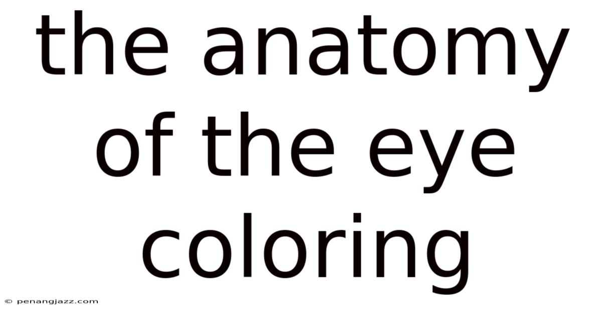 The Anatomy Of The Eye Coloring