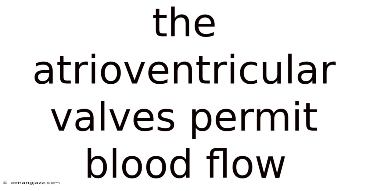 The Atrioventricular Valves Permit Blood Flow