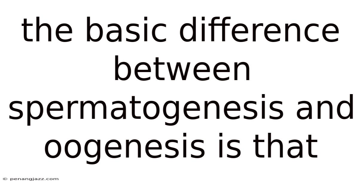 The Basic Difference Between Spermatogenesis And Oogenesis Is That