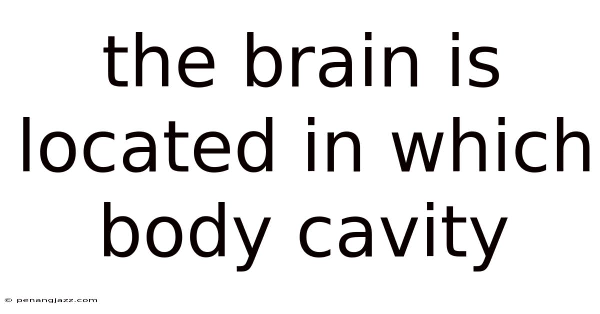 The Brain Is Located In Which Body Cavity