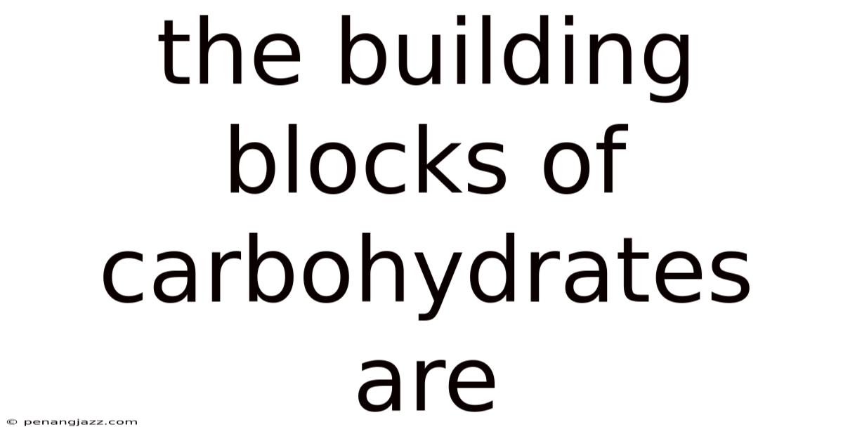 The Building Blocks Of Carbohydrates Are