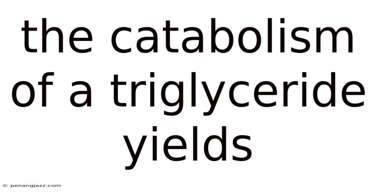 The Catabolism Of A Triglyceride Yields