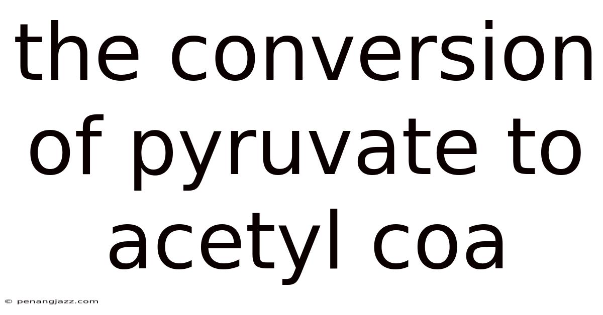 The Conversion Of Pyruvate To Acetyl Coa