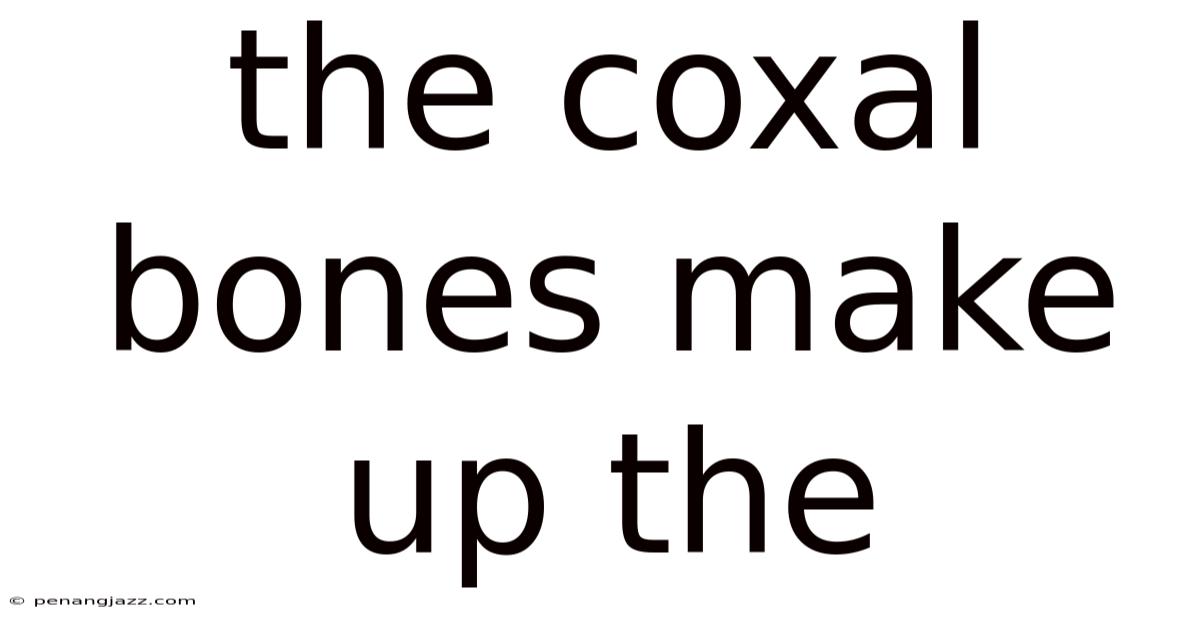 The Coxal Bones Make Up The