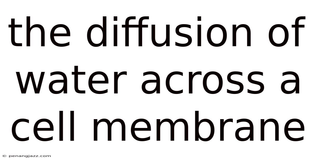 The Diffusion Of Water Across A Cell Membrane
