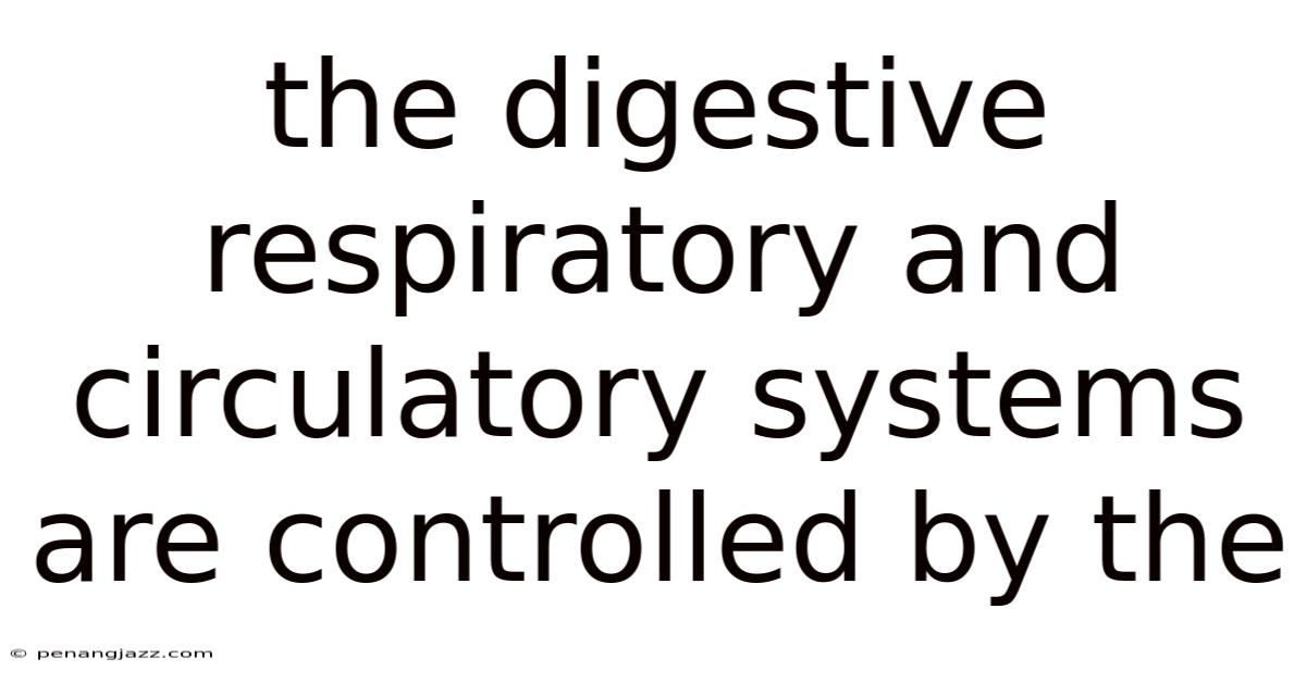 The Digestive Respiratory And Circulatory Systems Are Controlled By The