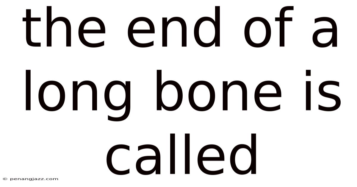 The End Of A Long Bone Is Called