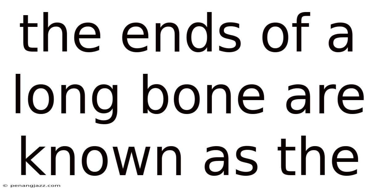 The Ends Of A Long Bone Are Known As The