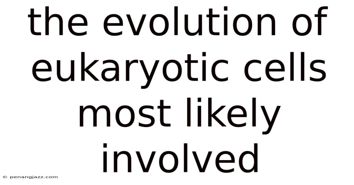 The Evolution Of Eukaryotic Cells Most Likely Involved