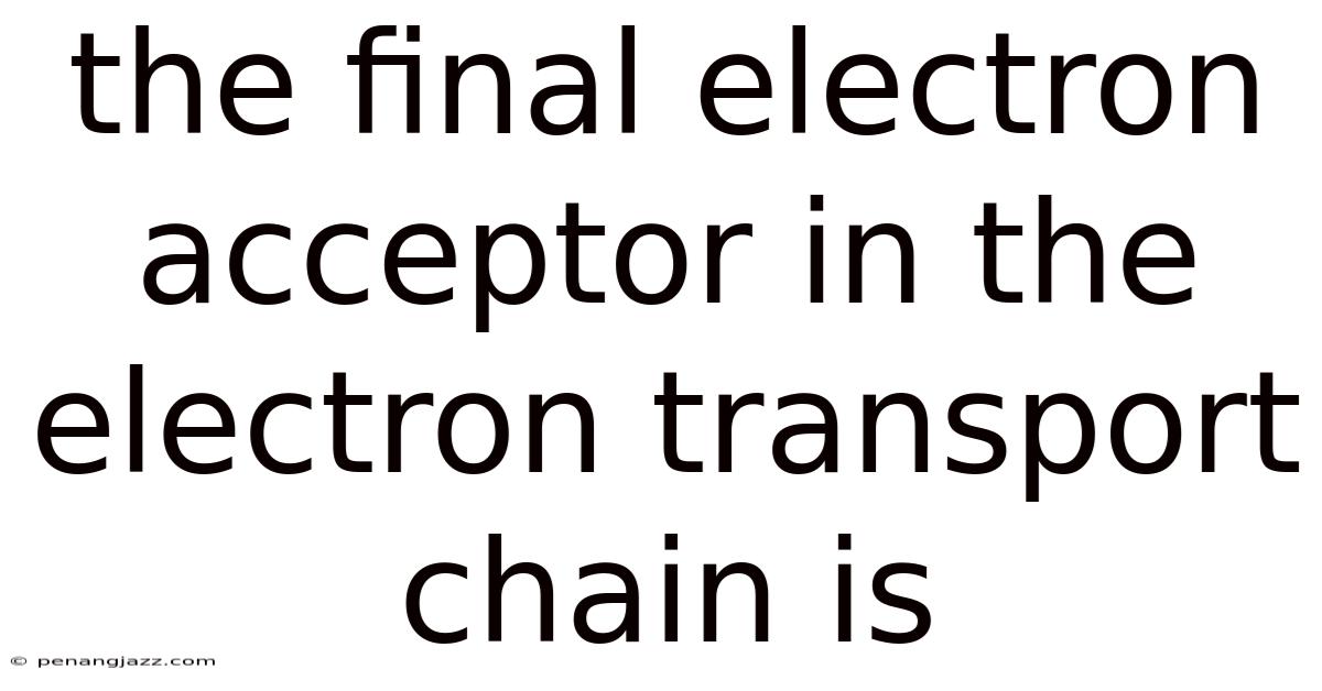 The Final Electron Acceptor In The Electron Transport Chain Is