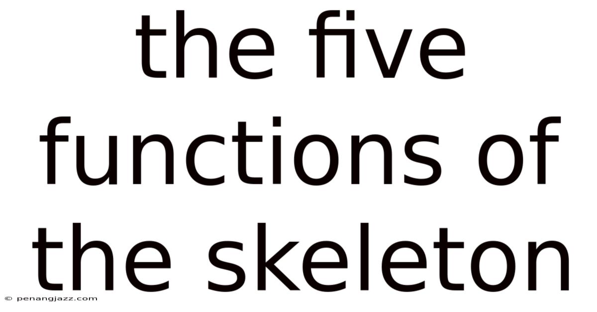 The Five Functions Of The Skeleton