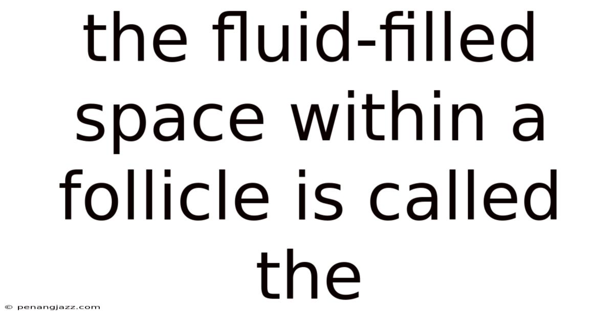 The Fluid-filled Space Within A Follicle Is Called The