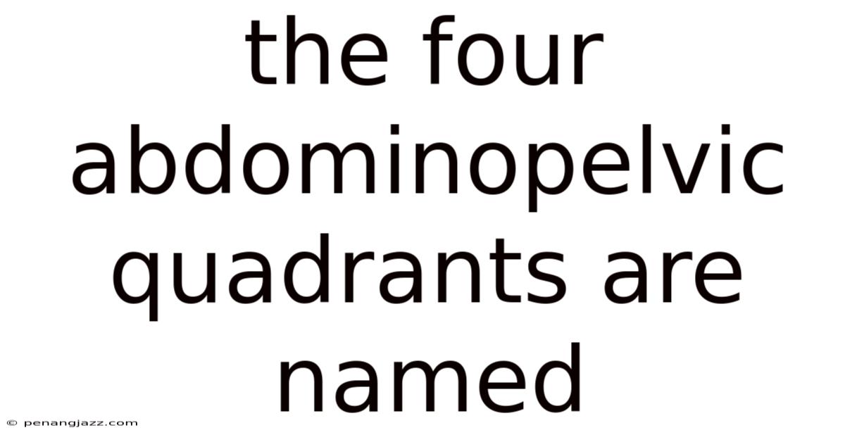 The Four Abdominopelvic Quadrants Are Named
