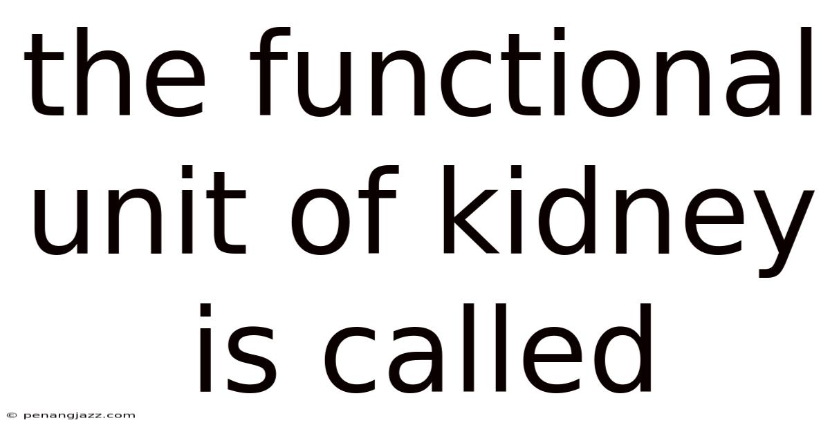 The Functional Unit Of Kidney Is Called