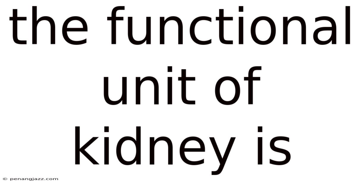 The Functional Unit Of Kidney Is