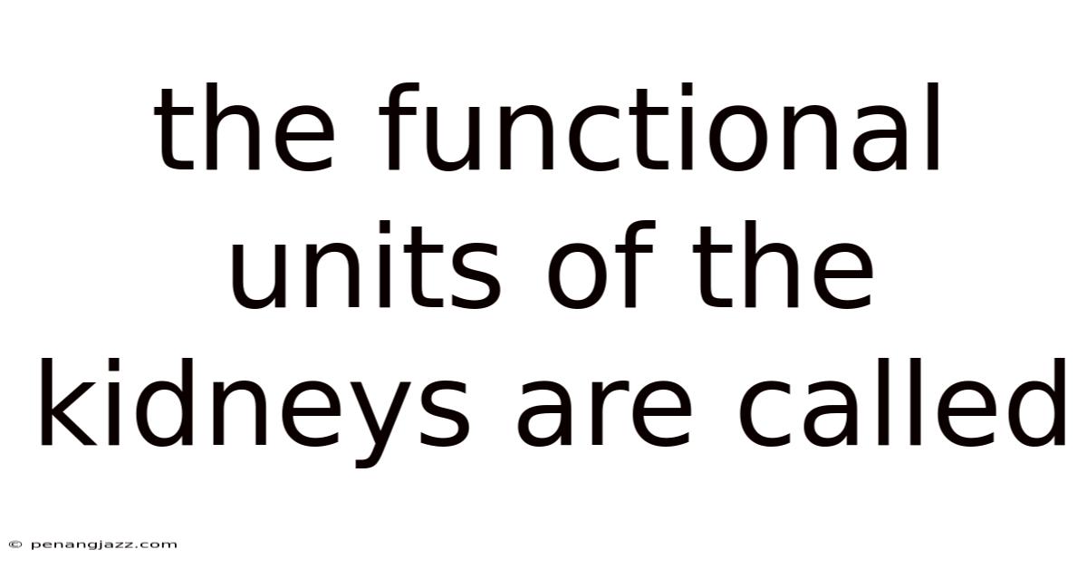 The Functional Units Of The Kidneys Are Called