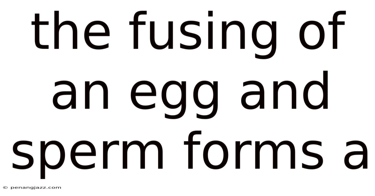 The Fusing Of An Egg And Sperm Forms A