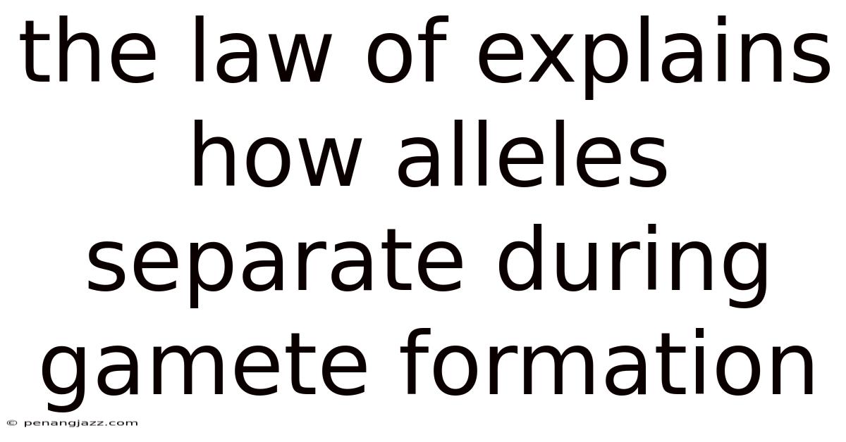 The Law Of Explains How Alleles Separate During Gamete Formation.