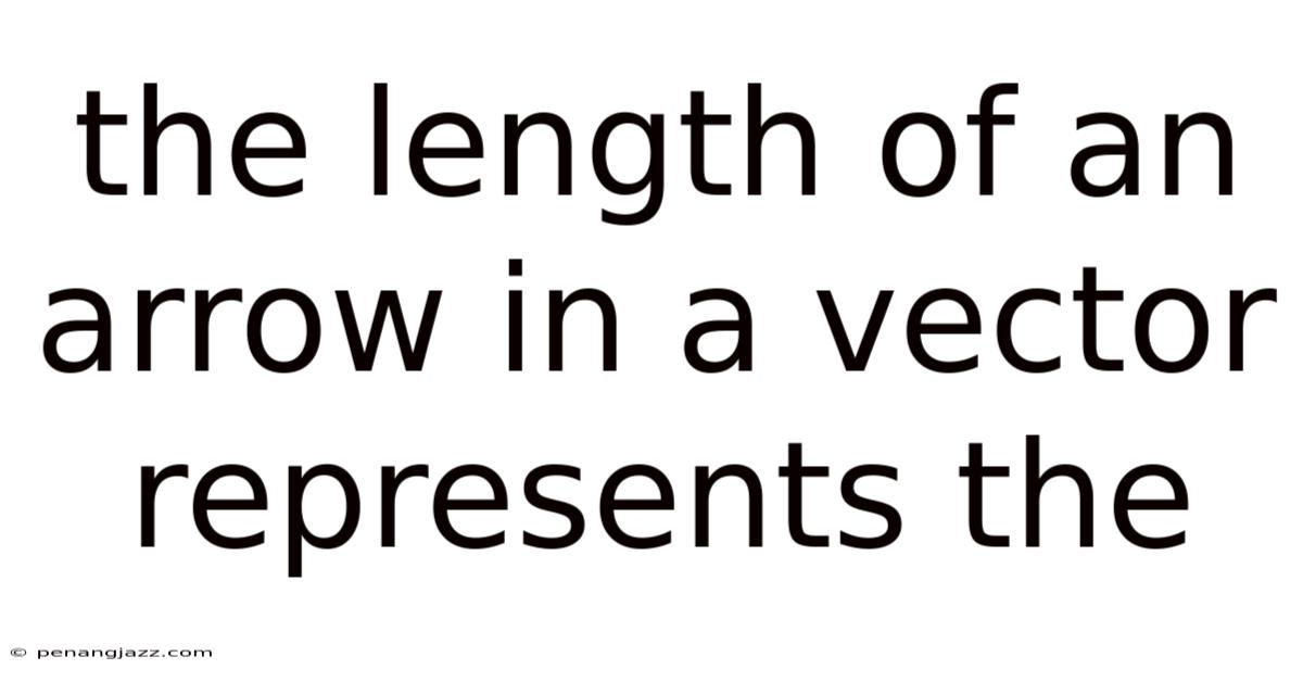 The Length Of An Arrow In A Vector Represents The