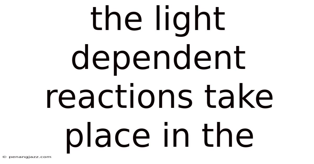 The Light Dependent Reactions Take Place In The