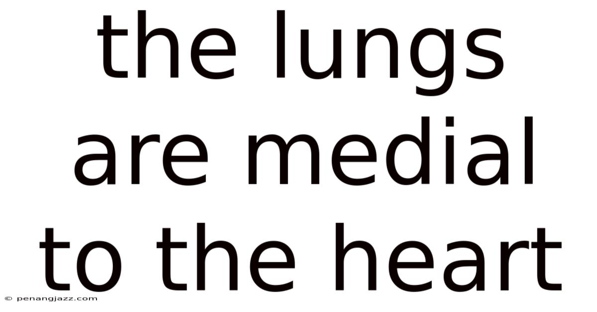 The Lungs Are Medial To The Heart