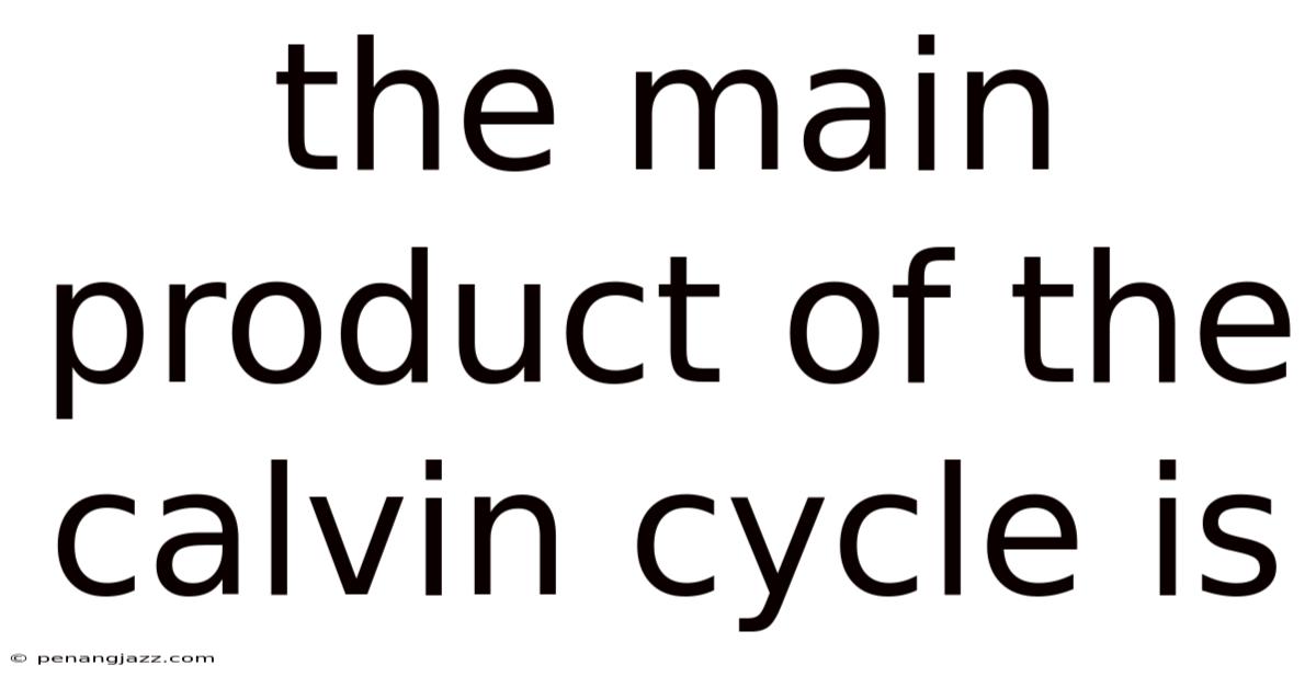 The Main Product Of The Calvin Cycle Is