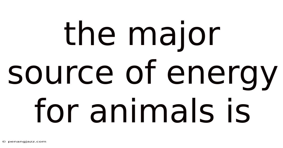 The Major Source Of Energy For Animals Is