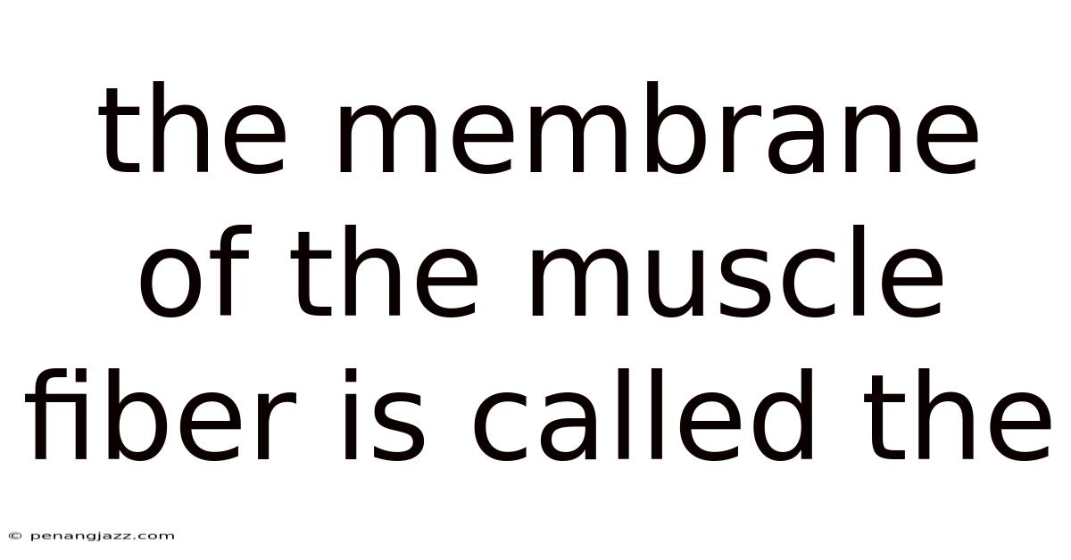 The Membrane Of The Muscle Fiber Is Called The