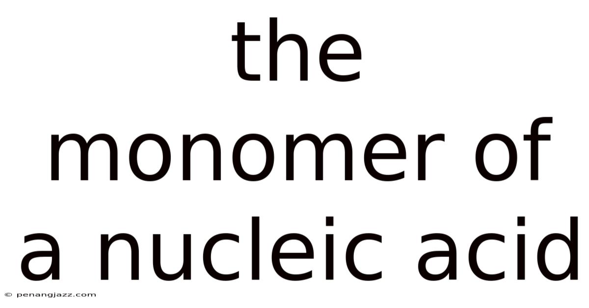 The Monomer Of A Nucleic Acid