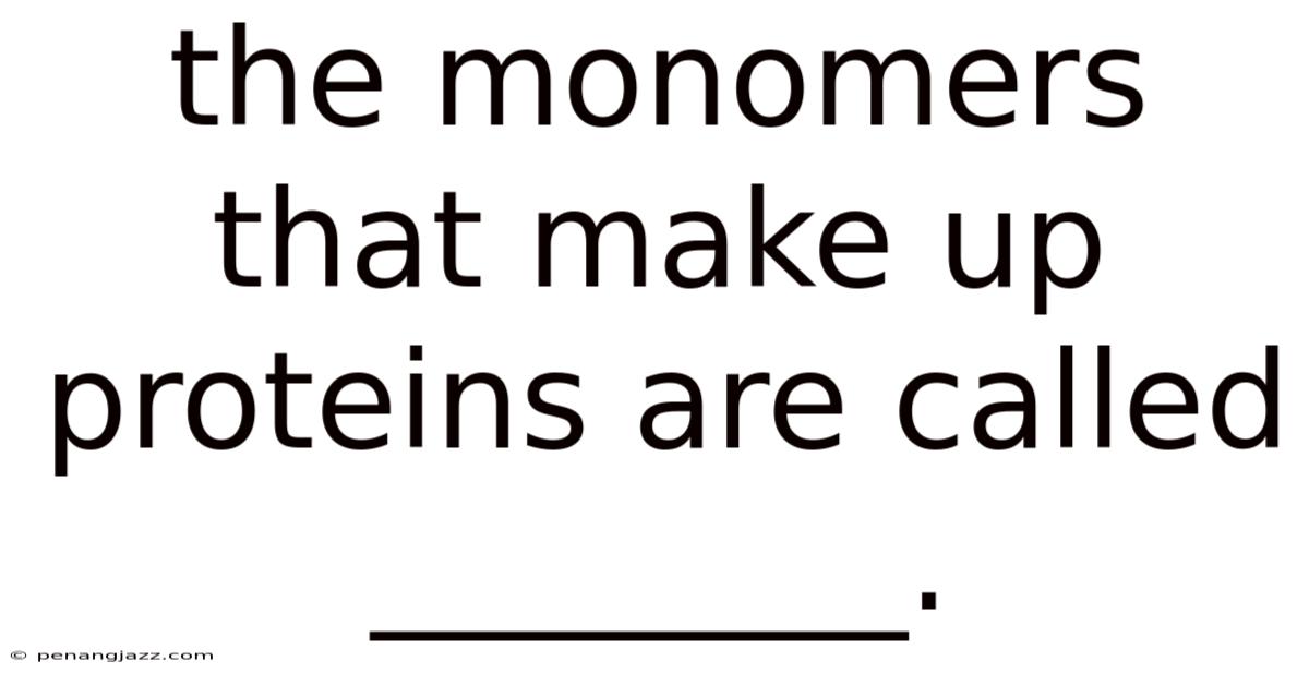 The Monomers That Make Up Proteins Are Called ________.