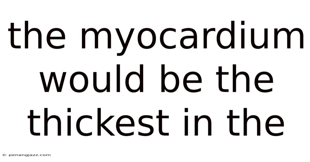 The Myocardium Would Be The Thickest In The