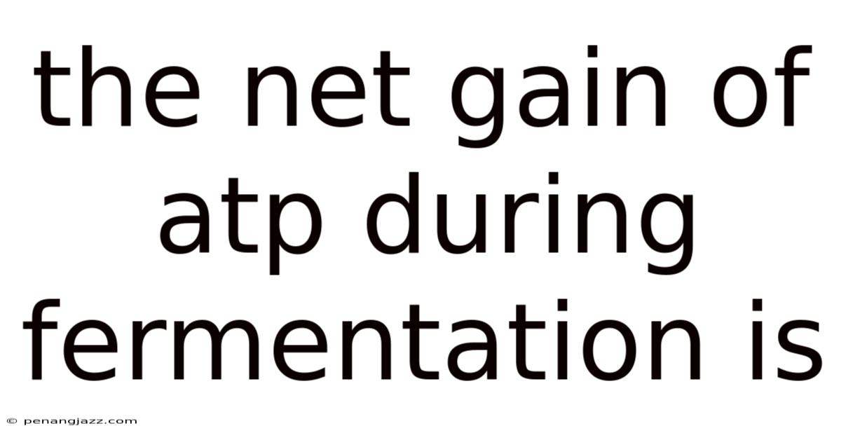The Net Gain Of Atp During Fermentation Is