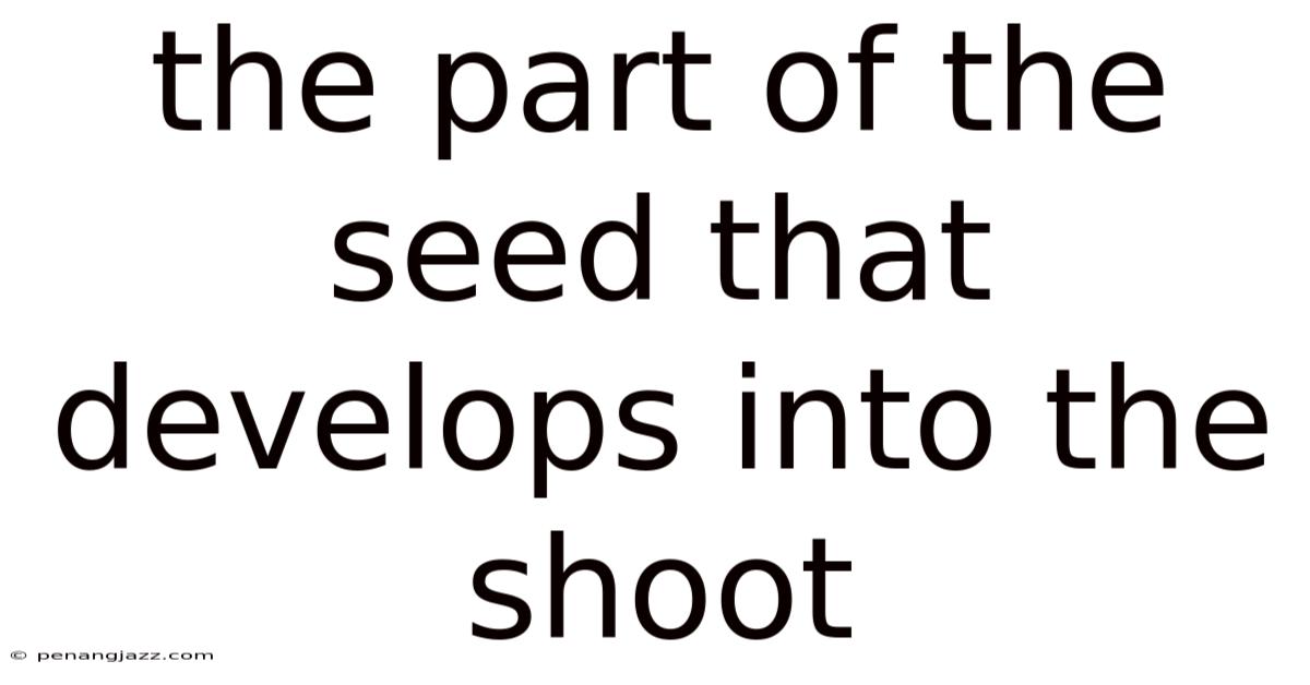 The Part Of The Seed That Develops Into The Shoot