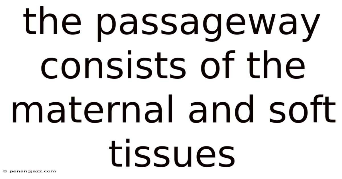 The Passageway Consists Of The Maternal And Soft Tissues