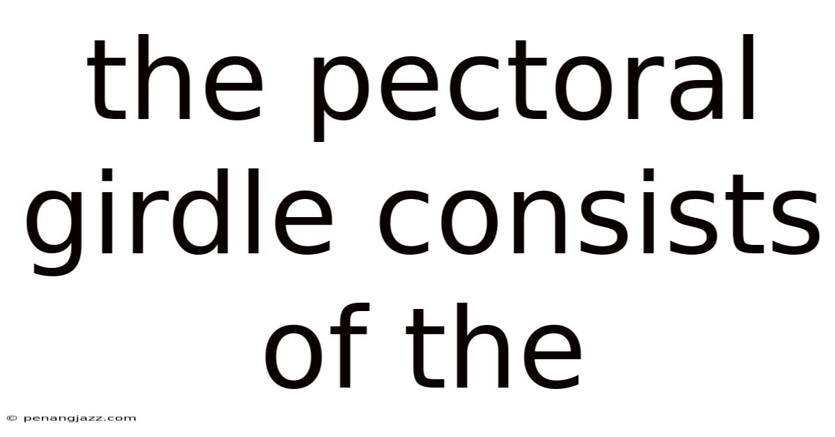 The Pectoral Girdle Consists Of The