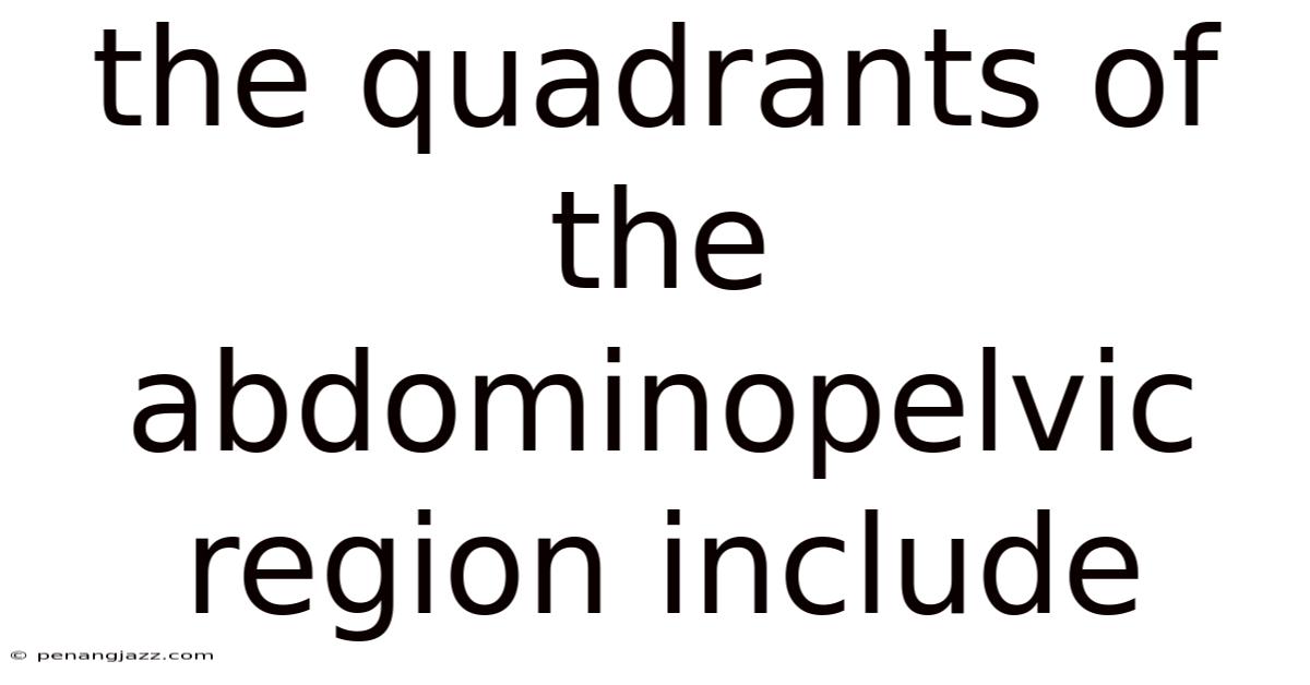 The Quadrants Of The Abdominopelvic Region Include