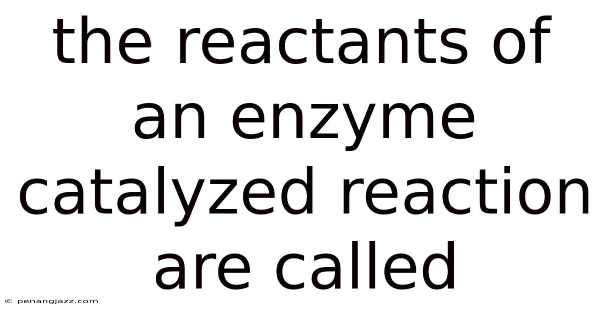 The Reactants Of An Enzyme Catalyzed Reaction Are Called
