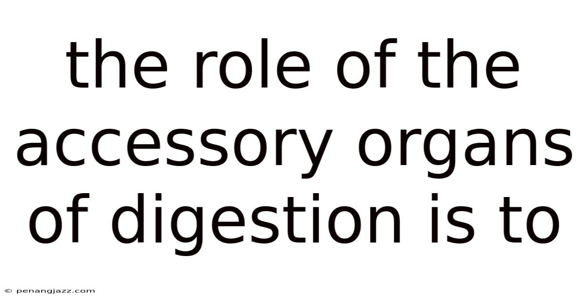 The Role Of The Accessory Organs Of Digestion Is To
