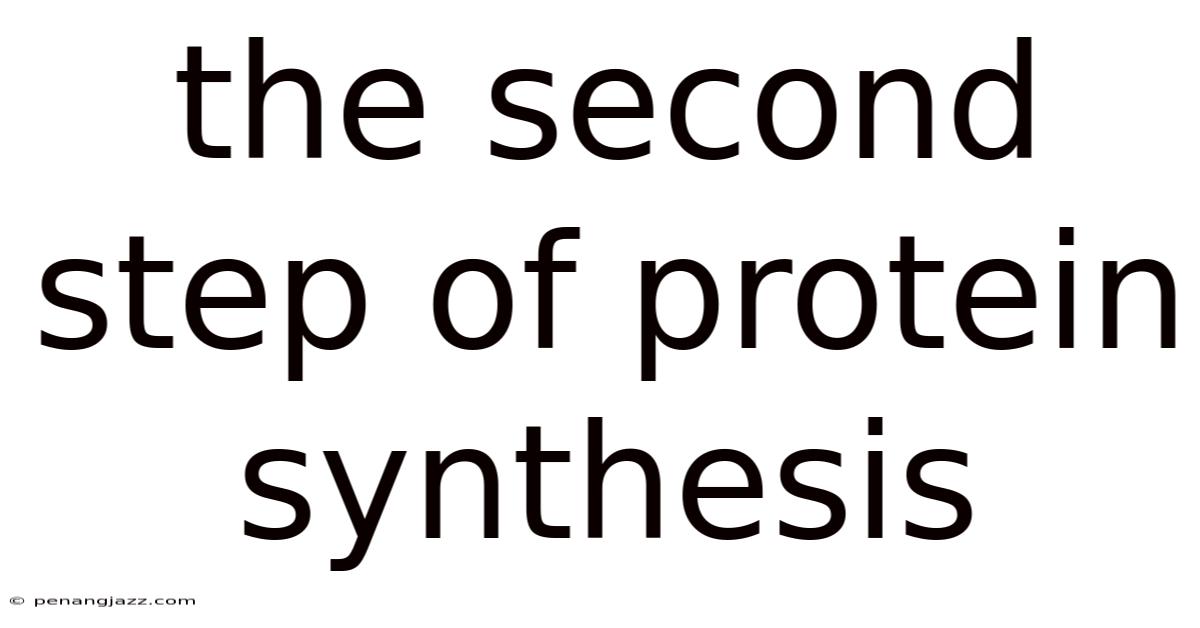 The Second Step Of Protein Synthesis
