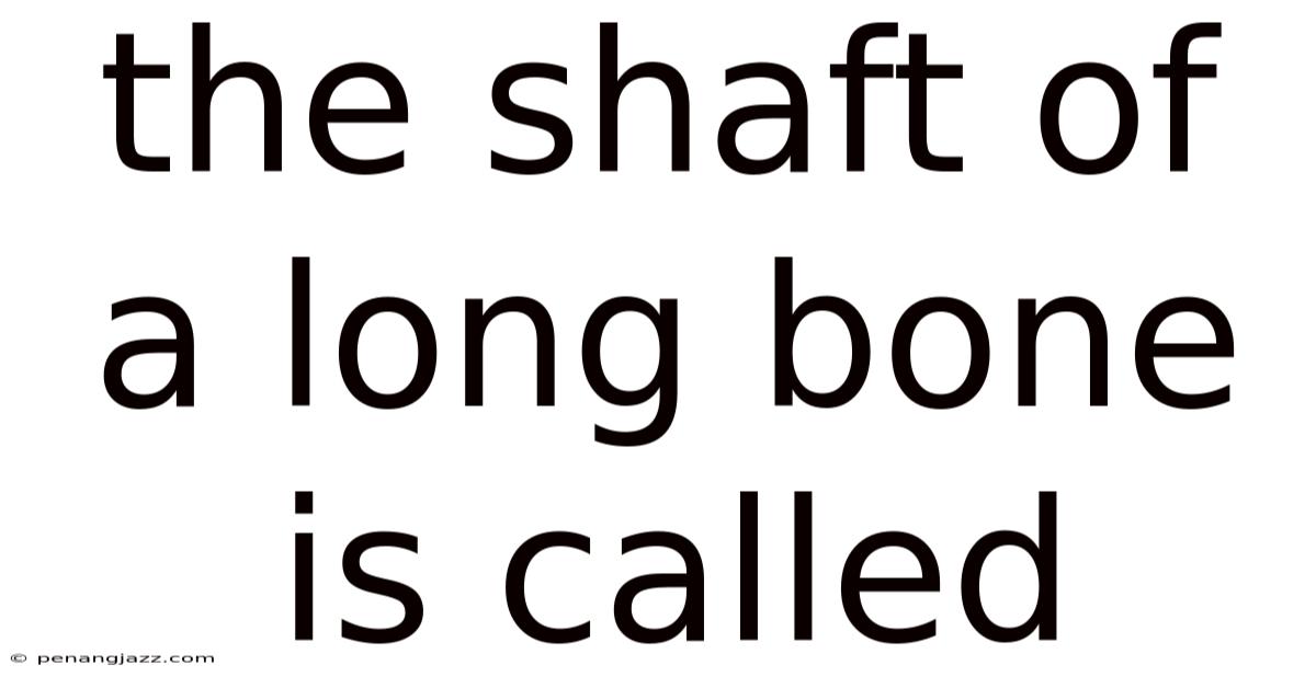 The Shaft Of A Long Bone Is Called