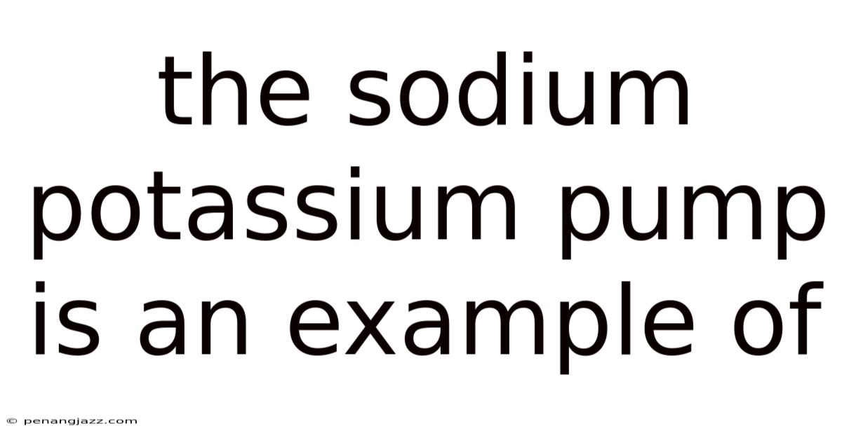 The Sodium Potassium Pump Is An Example Of