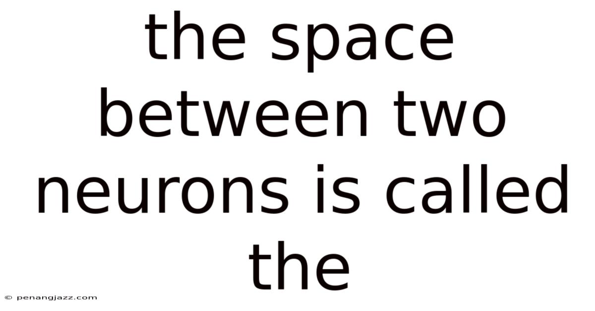 The Space Between Two Neurons Is Called The