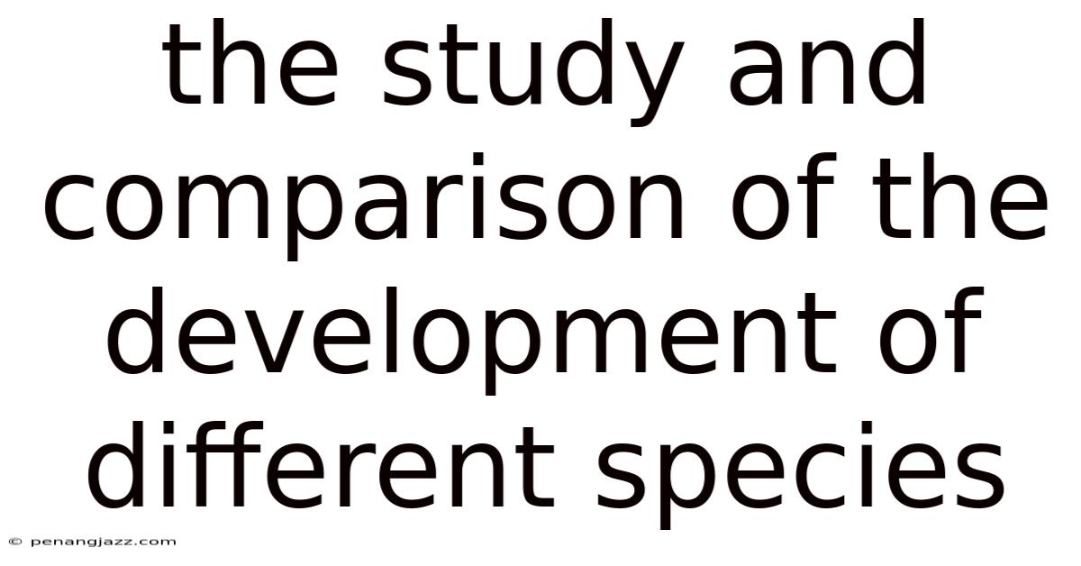 The Study And Comparison Of The Development Of Different Species