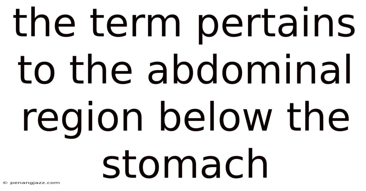 The Term Pertains To The Abdominal Region Below The Stomach