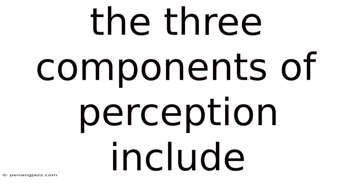 The Three Components Of Perception Include