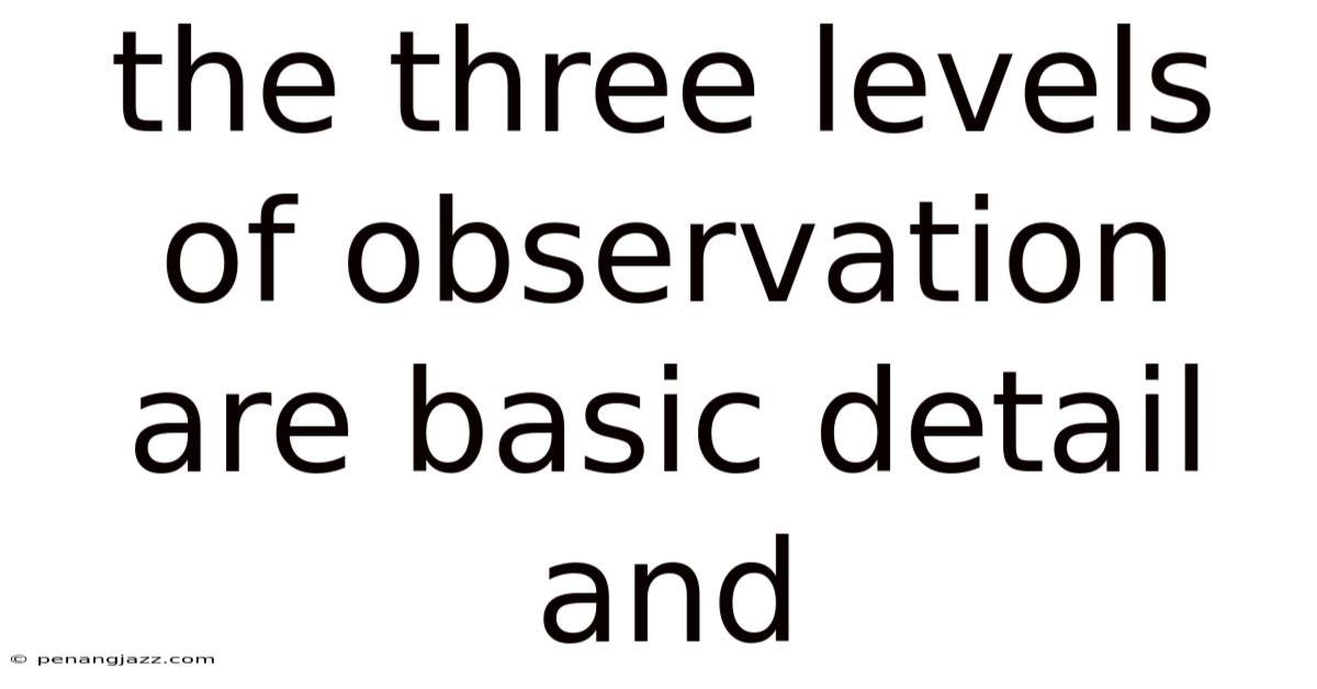 The Three Levels Of Observation Are Basic Detail And