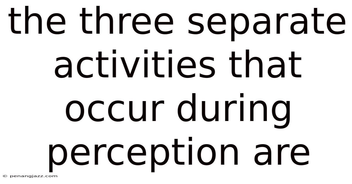 The Three Separate Activities That Occur During Perception Are