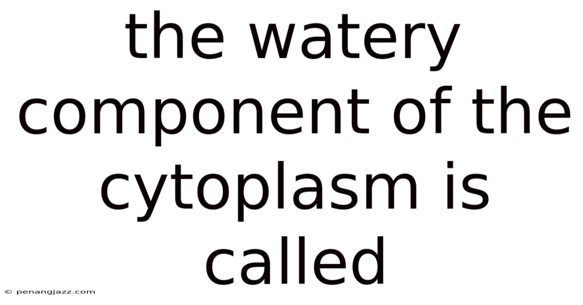 The Watery Component Of The Cytoplasm Is Called